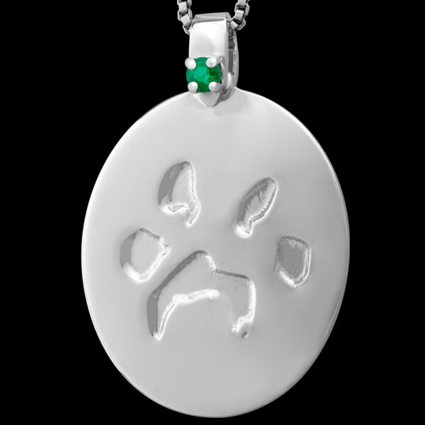 Large Silver Pendant with Birthstone and Chain [Pet] (#14L)