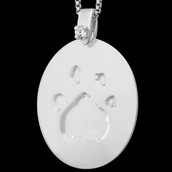 Large Silver Pendant with Diamond and Chain [Pet] (#16L)