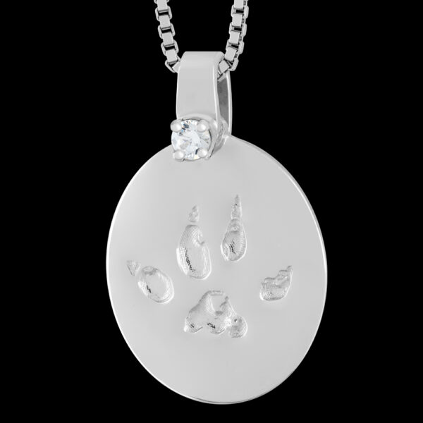 .Small Silver Pendant with Diamond and Chain [Pet] (#16)