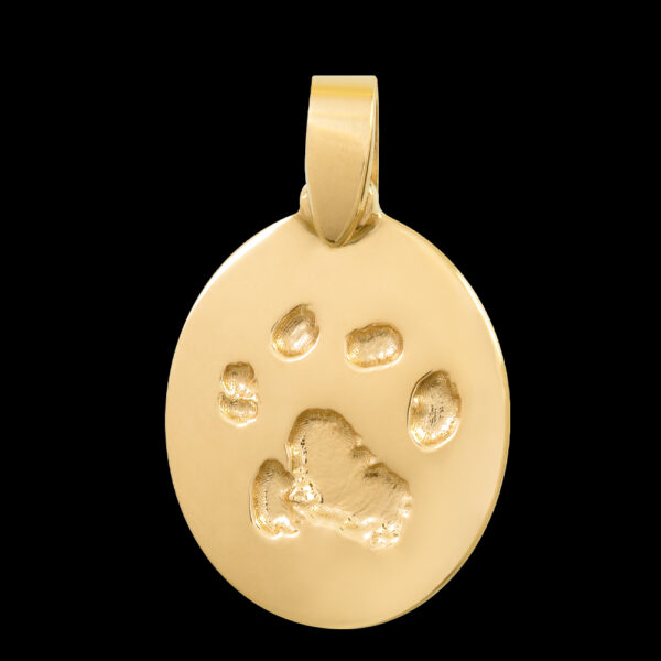 .Small Gold Pendant [Pet] (#21)
