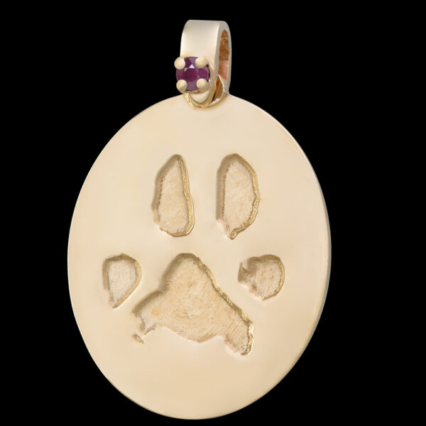 Large Gold Pendant with Birthstone [Pet] (#23L)