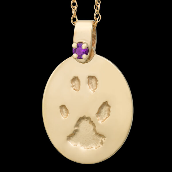 .Small Gold Pendant with Birthstone and Chain [Pet] (#24)