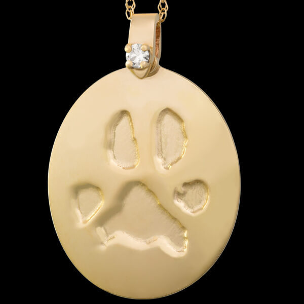 Large Gold Pendant with Diamond and Chain [Pet] (#26L)