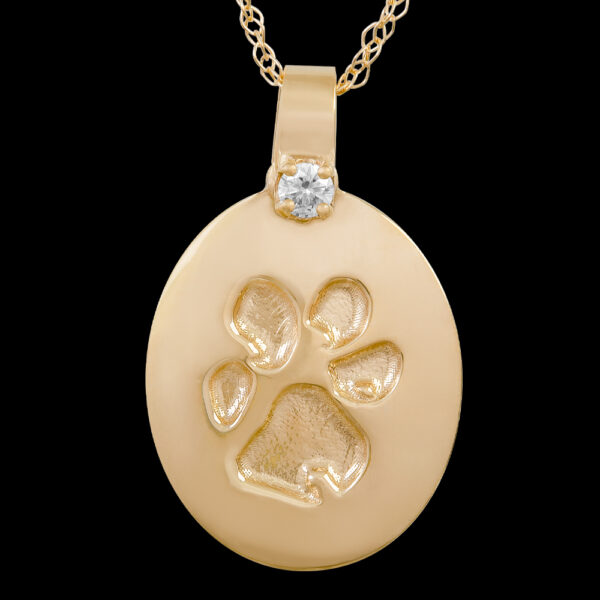 .Small Gold Pendant with Diamond and Chain [Pet] (#26)